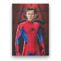 Spiderdad